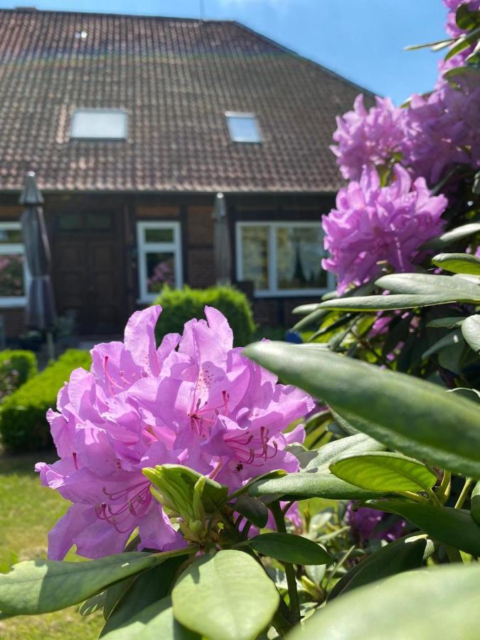 Hof Dueshop Apartment Bad Fallingbostel Exterior photo